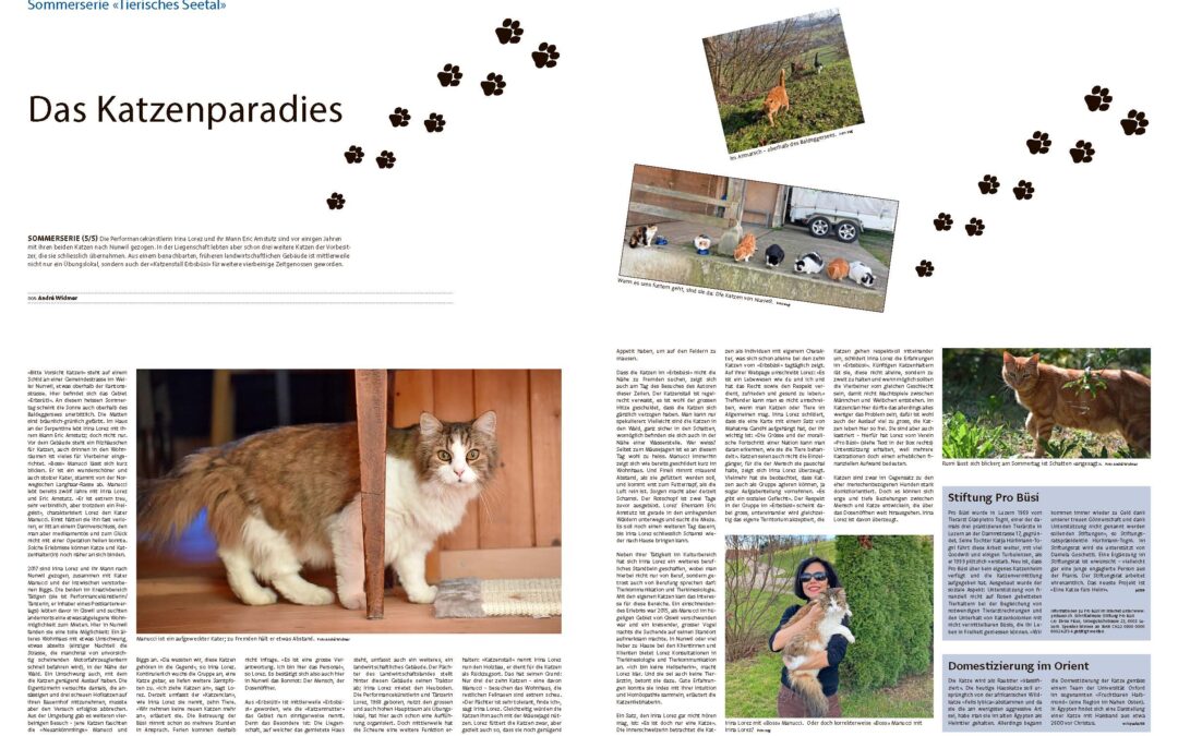 Das Katzenparadies – Ein Portrait im Seetaler Bote